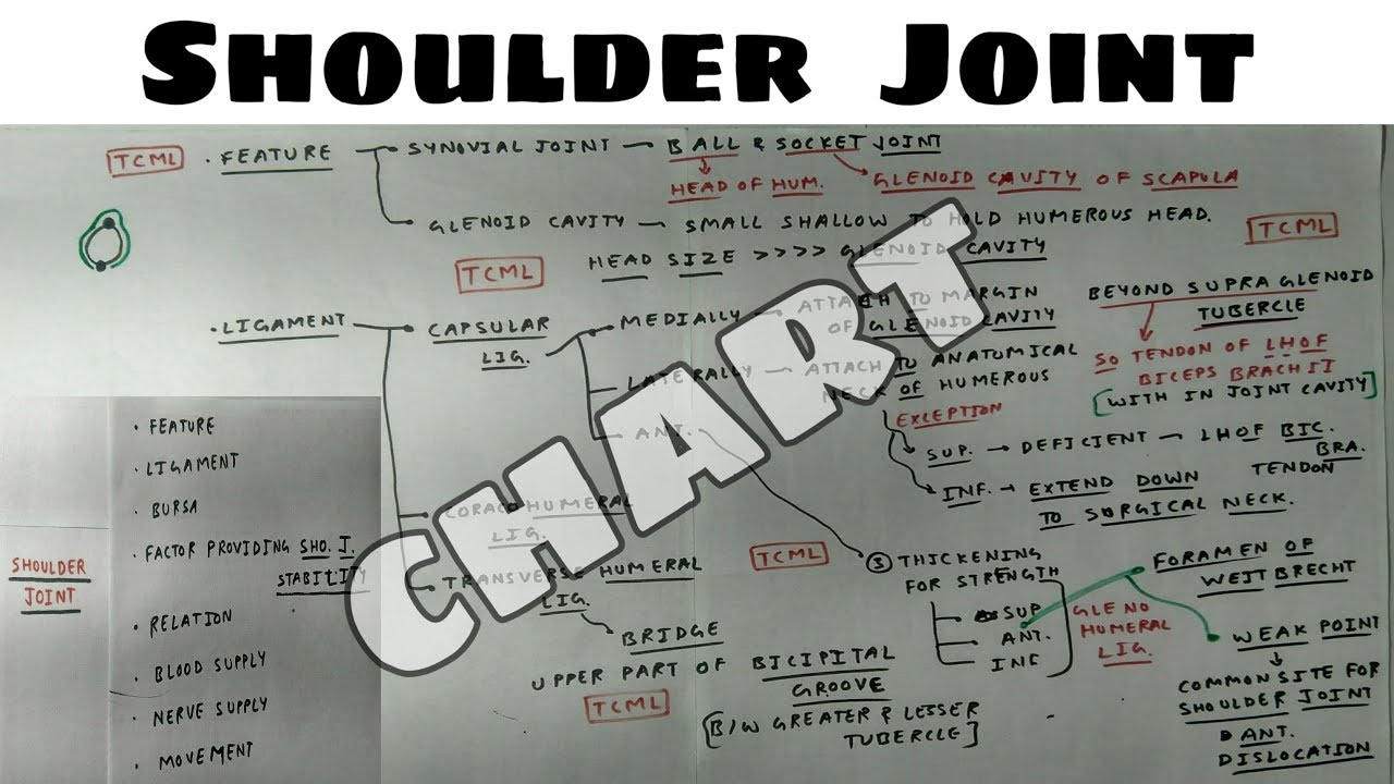 Shoulder Joint anatomy 3d | Part 1 | Feature and Ligament | Upper Limb Anatomy 