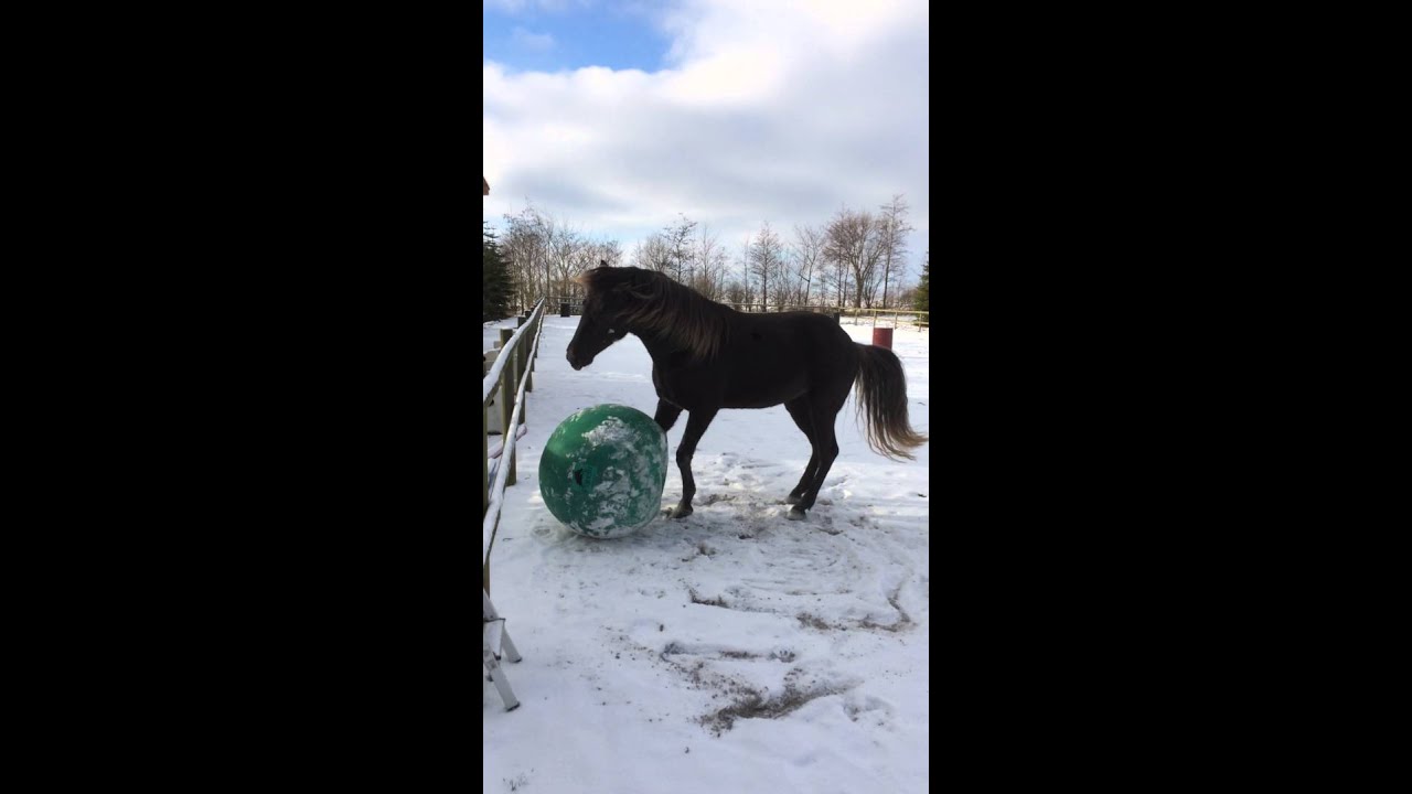 Miloh Playing