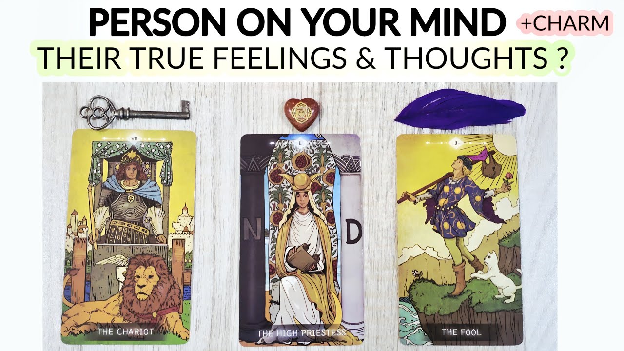 PICK•• PERSON ON YOUR MIND 💗 WHAT ARE THEY THINKING & FEELING FOR U 🥺 +CHARM TIMELESS
