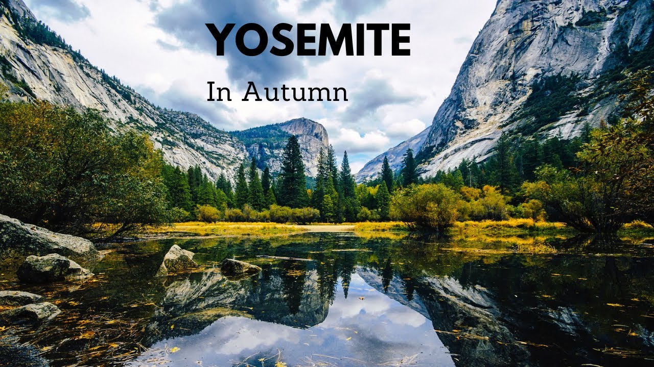 Yosemite in Autumn |  Mariposa Grove of Giant Sequoias | Where to stay near Yosemite