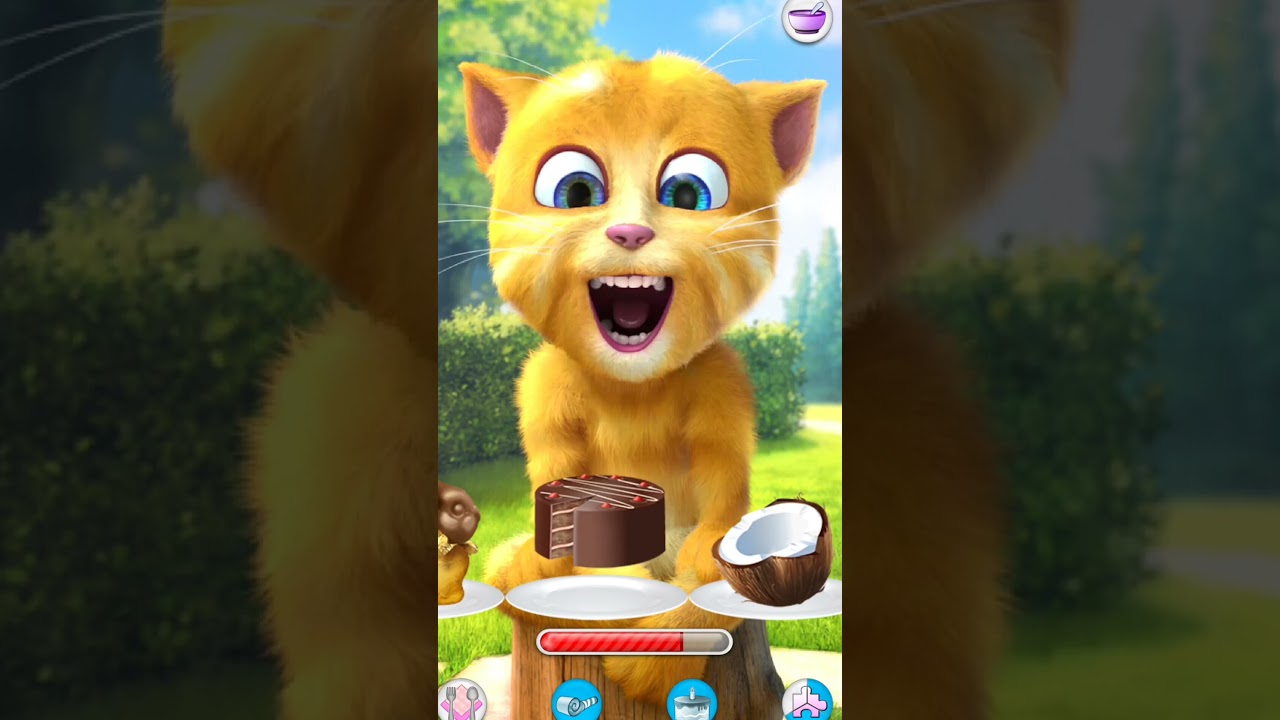 Talking Ginger funny video #short #vairal #funny