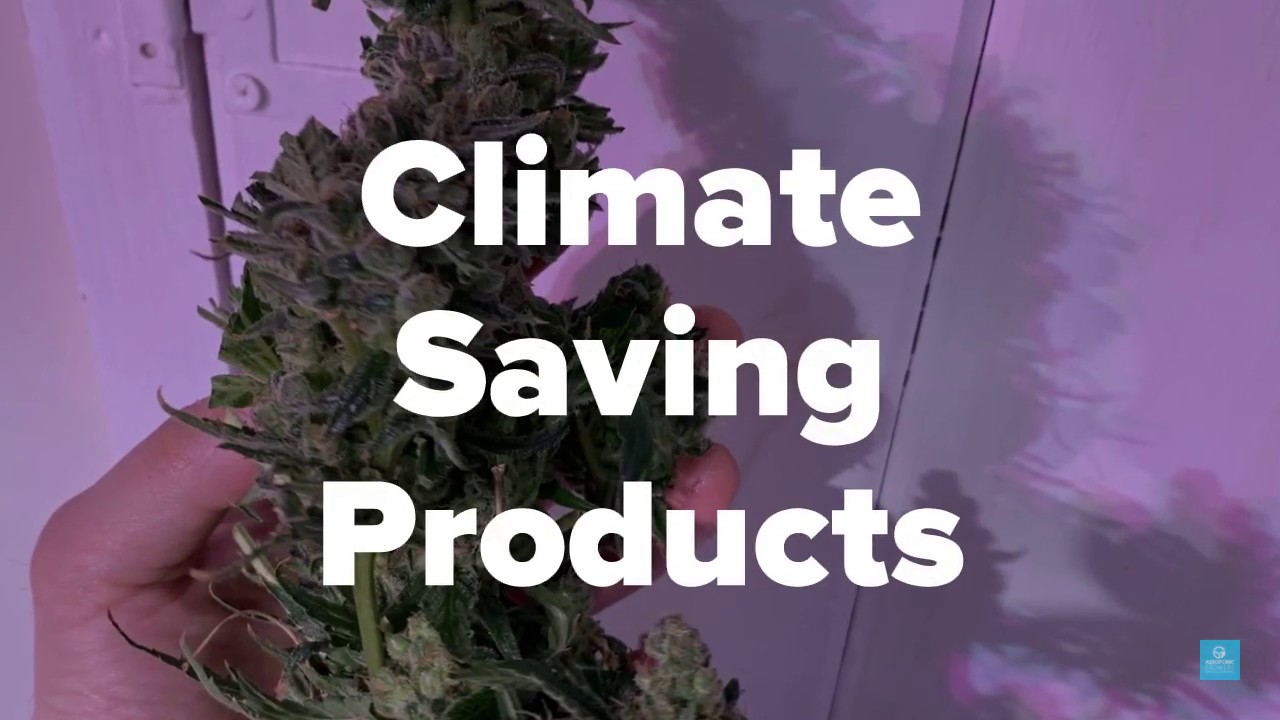 Aeroponic Growers Climate Saving Products for Weed!