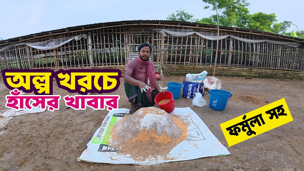 অল্প খরচে হাঁসের খাবার  আমি যেভাবে বানায় | হাঁসের ফার্ম | SPM Agro