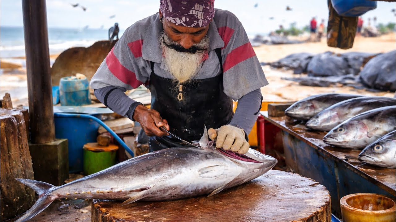 Expert Fish Cutting Skills by Pro Fish Cutter Using Sharpest Knife! 😯 | Pro Knife Skills 