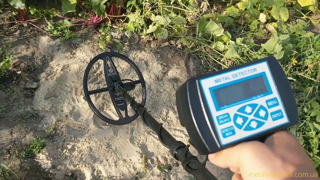 Minelab Equinox 800 и Кощей Х45 - тест на ювелирку в песке + конструктив