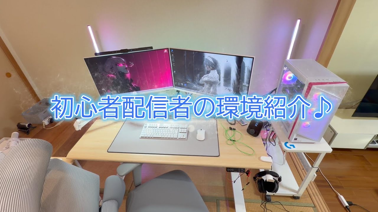 初心者配信者の配信環境紹介