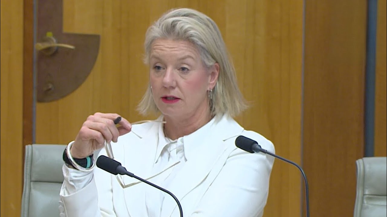 &lsquo;I&rsquo;ll cut you up&rsquo;: Heated Senate clash as Bridget McKenzie targeted during debate