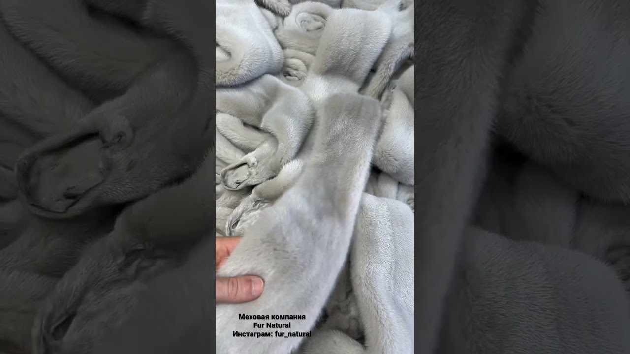 Мех норки