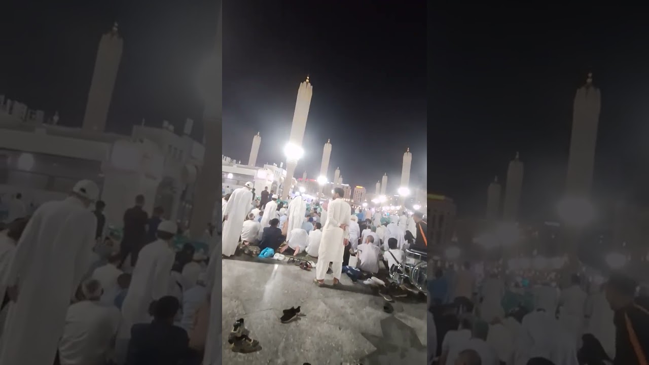 ١٥ نوفمبر ٢٠٢٥