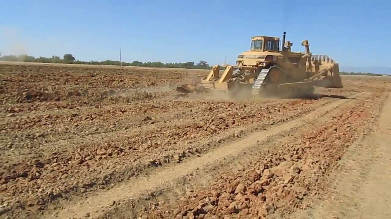 Soil Ripping for Walnut Trees