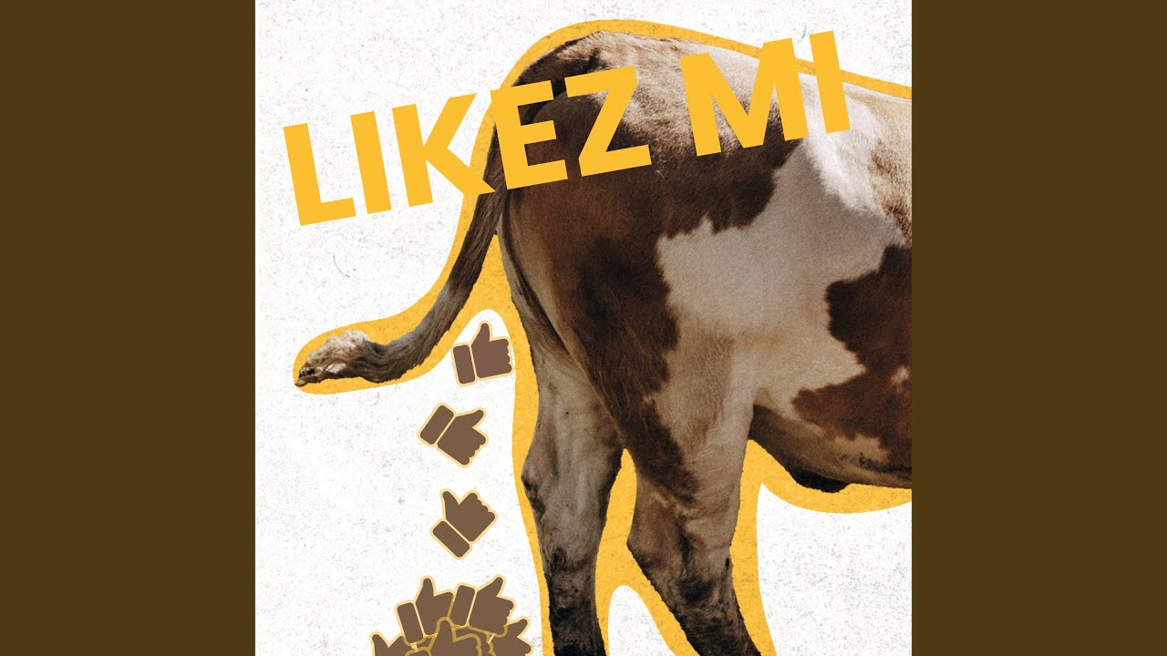 Likez Mi