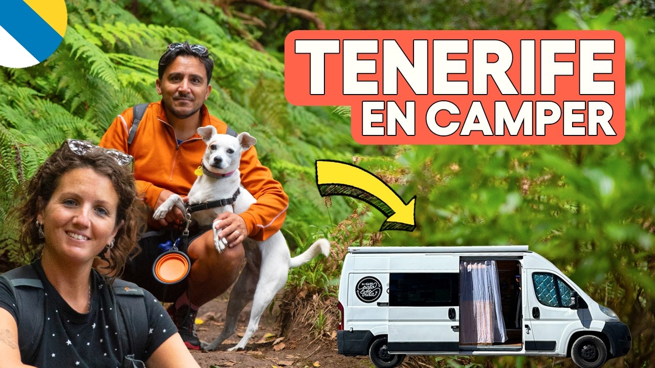 🚐GUÍA para recorrer TENERIFE en CAMPER o AUTOCARAVANA! 🇮🇨