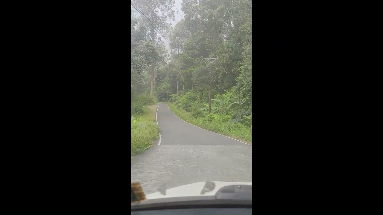 ഇടുക്കി ജില്ലയിലെ ഒരു മനോഹര പാത കണ്ടാലോ 😍#പടിക്കപ്പ് - ആറാം മൈൽ റൂട്ട് 