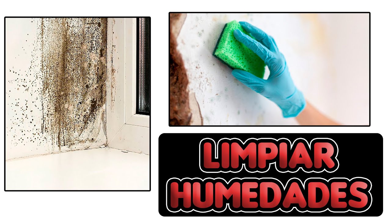 Cómo eliminar la humedad en casa (TRUCOS CASEROS)