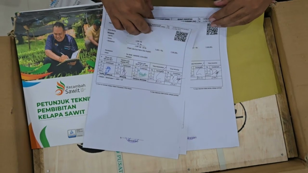 Bibit ungggul ppks Simalungun pengiriman Januari 2025