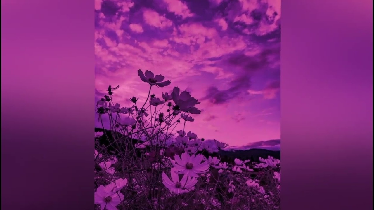 NewDad - Angel (Slowed)