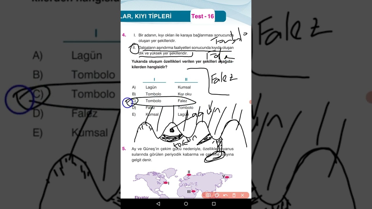 DALGALAR - AKINTILAR VE KIYI TİPLERİ