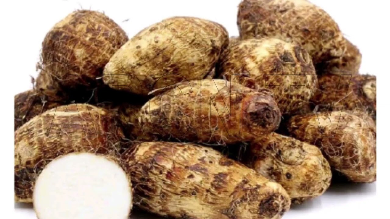 BACK TO FARM: COCOYAM PROCESSING AND UTILIZATION