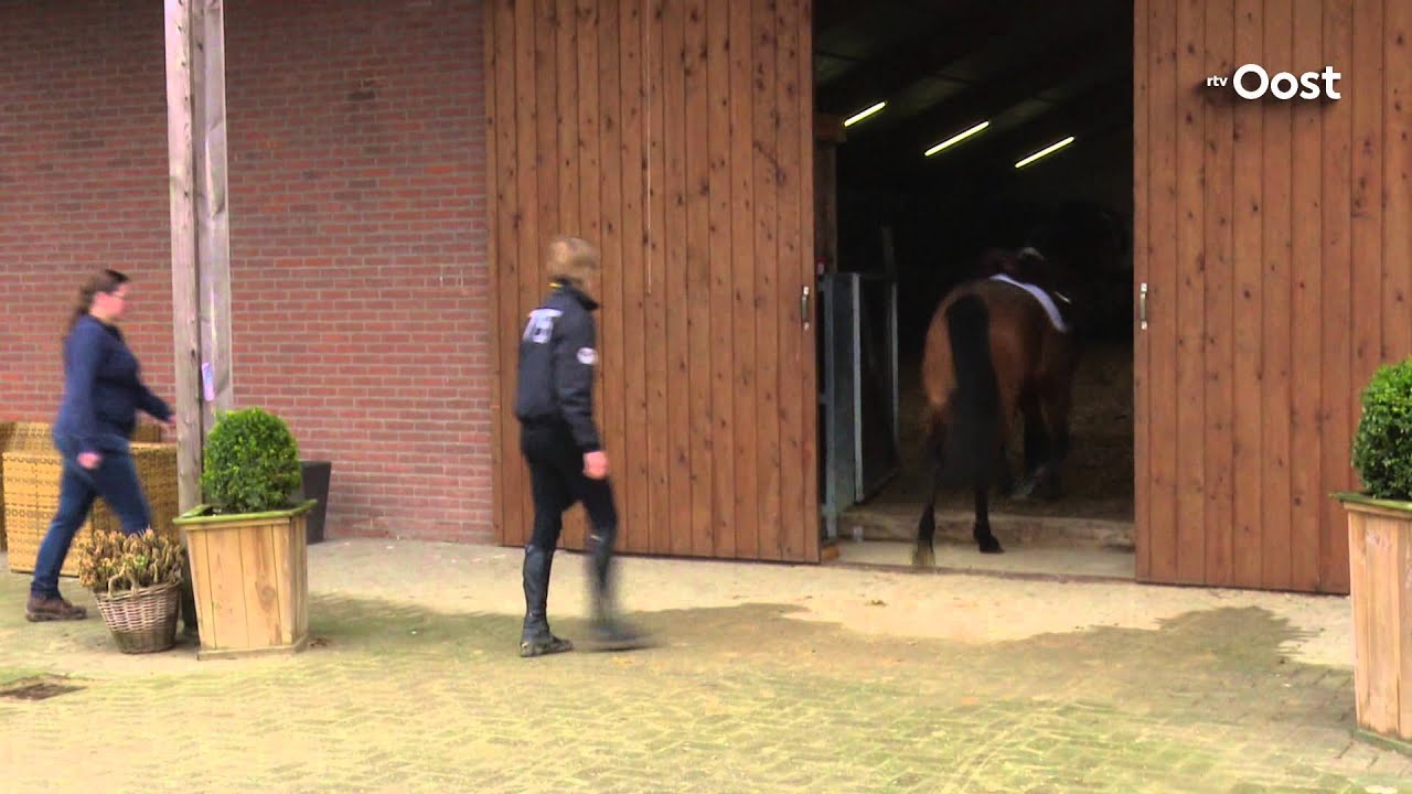 Ondanks levensgevaar blijft paardentemmer Koorman uit Slagharen doorgaan