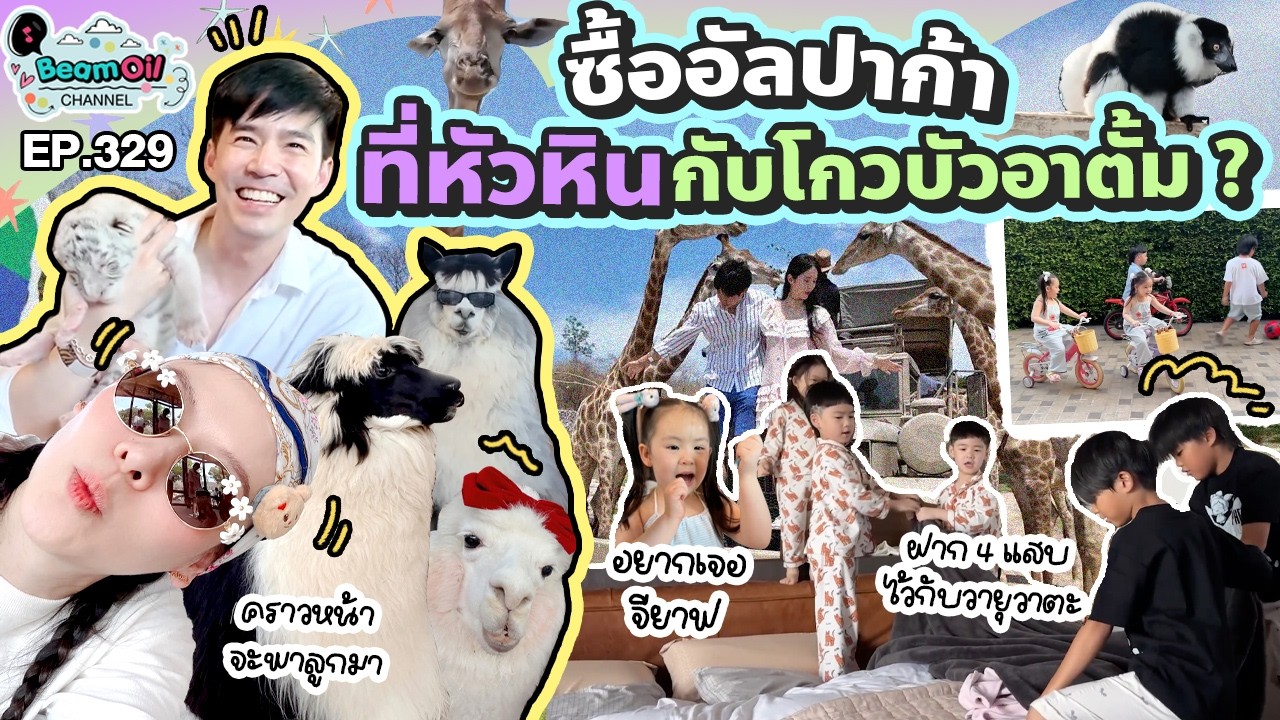 มุ่งหน้าสู่หัวหิน ก่อนเปิดคาเฟ่สัตว์ | BeamOil Family | EP. 329