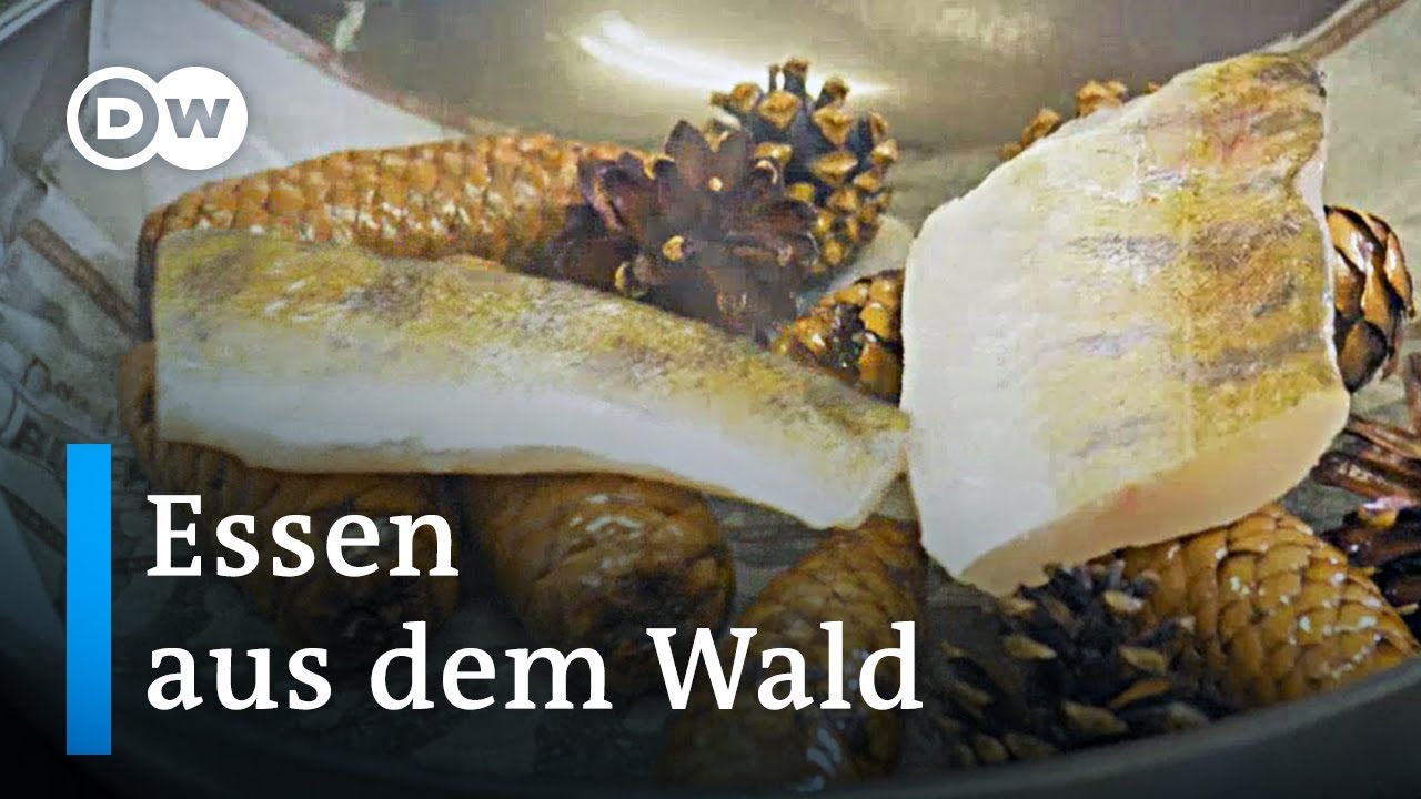 Aus dem Wald auf dem Teller | Euromaxx