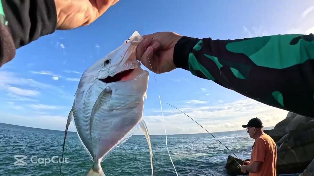MUITA AÇÃO DE PEIXE - Pescaria em Porto Belo - SC