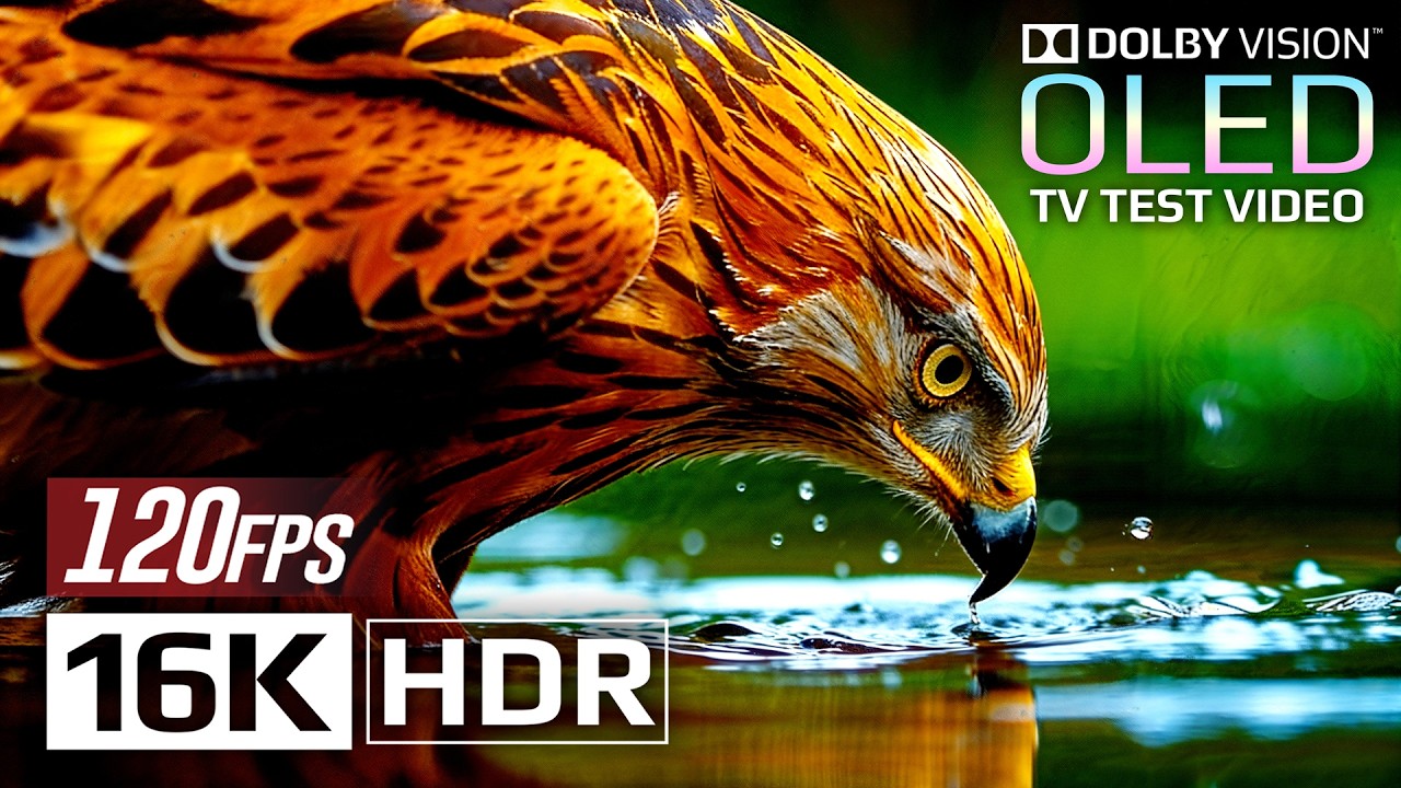Ultra Clarity 16K HDR 120fps Dolby Vision - See the World Like Never Before