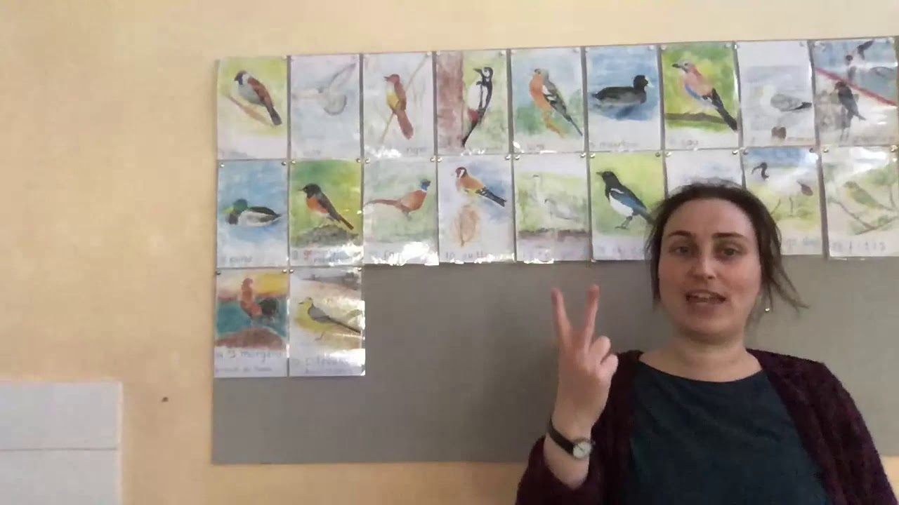 Staal spellingscategorieën 1 - 15