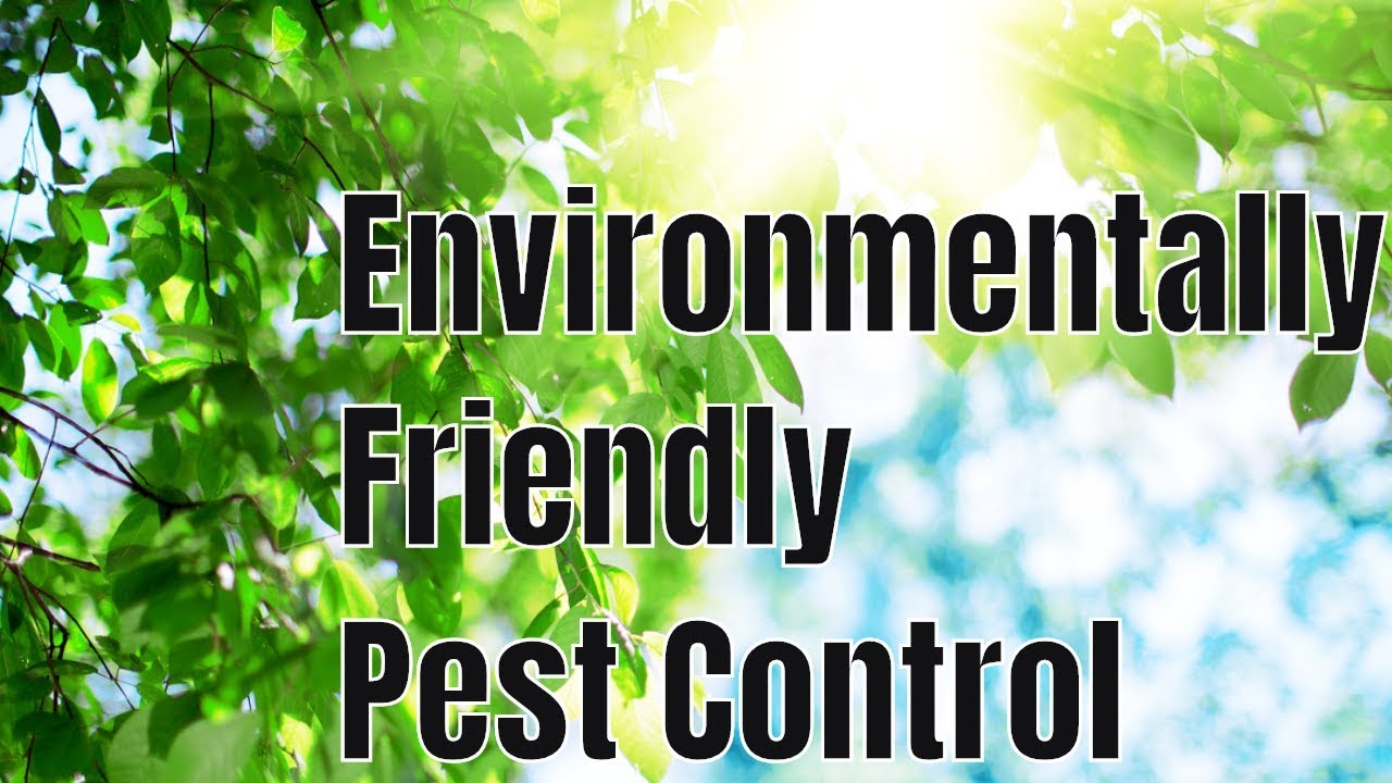What is the Most Environmentally Friendly 🌎 Pest Control Treatment?
