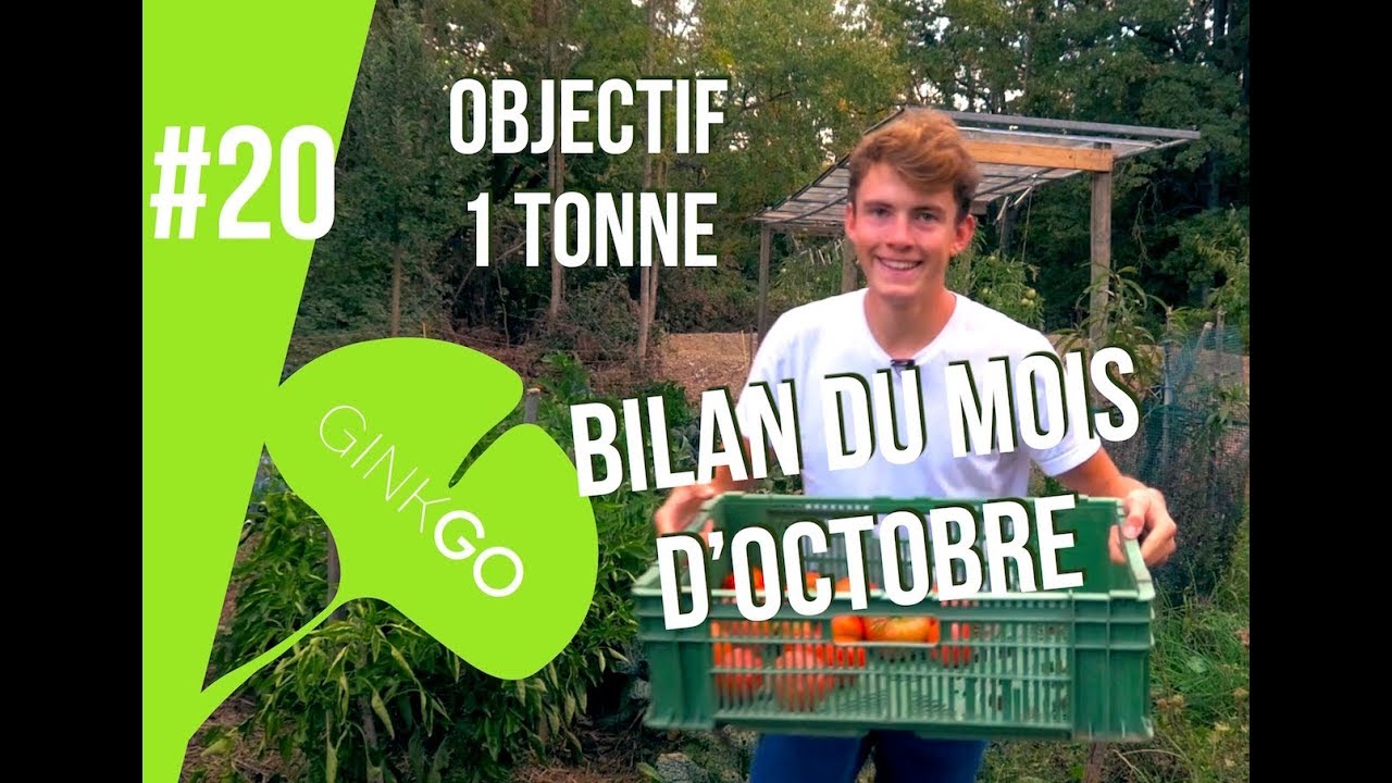 Potager bio : Objectif une TONNE de légumes !