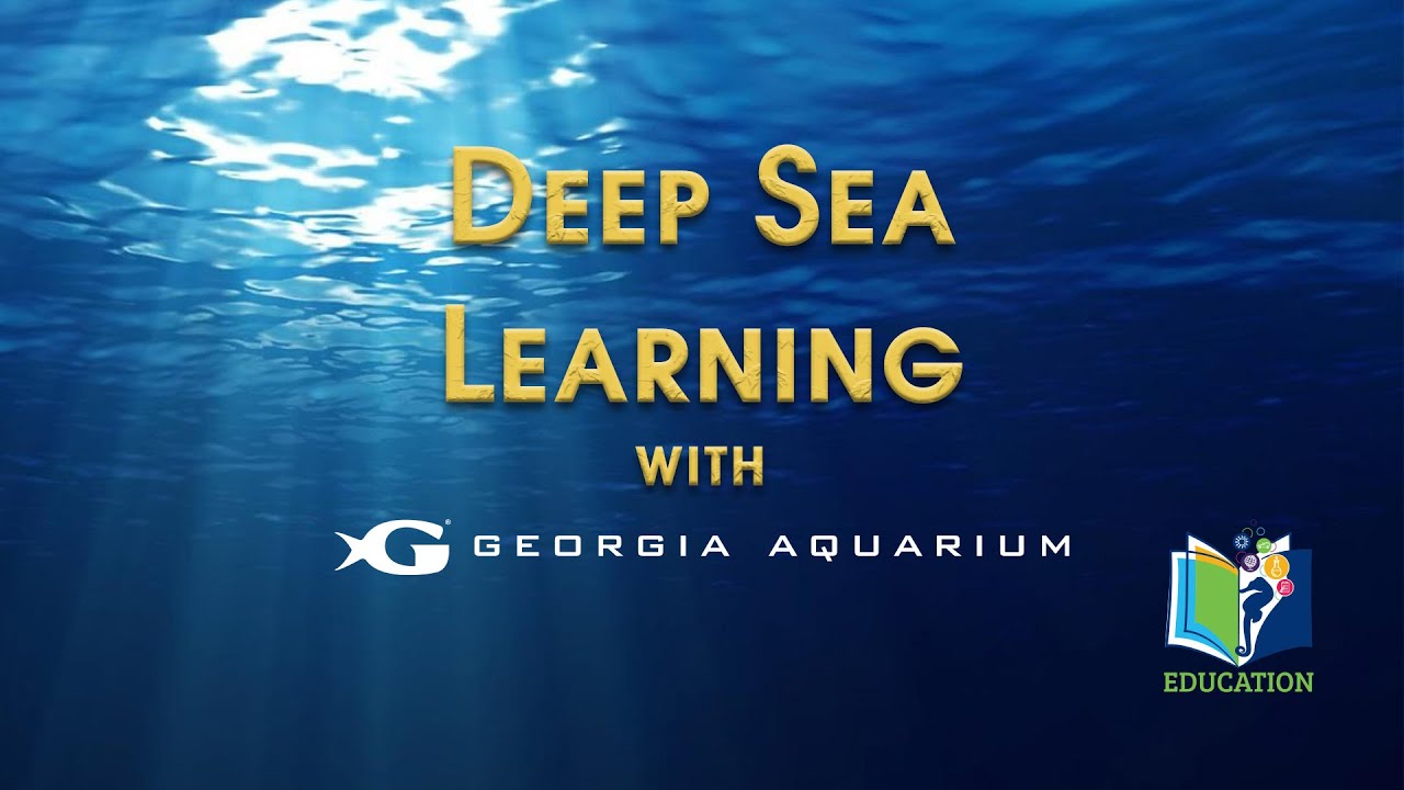 Deep Sea Learning: Tsunamis