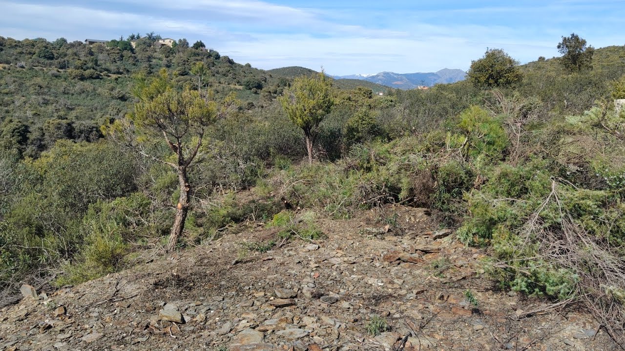 🔴 LA FINCA HD : Pues ya casi está todo desbrozado. Mañana triturar y excavadora