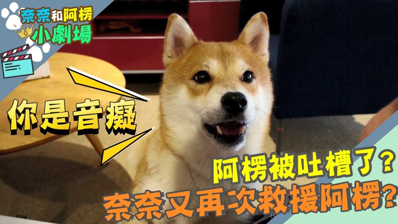 【奈奈阿楞小劇場x優格零穀】阿楞被吐槽了?奈奈又再次救援阿楞?ft.蔡季芳老師
