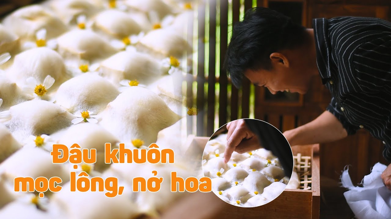 Đậu khuôn mọc lông, nở hoa: Món ăn thuộc hàng kinh dị nhưng lại đẹp đến xiêu lòng