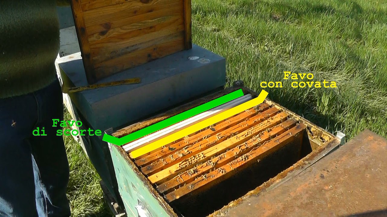 UTILIZZO DEL FOGLIO CEREO