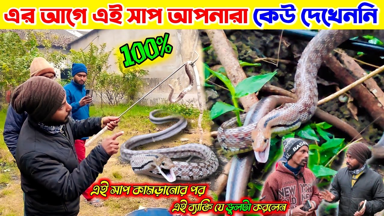সাবধান❗অন্য এলাকার সাপ এখন এখানেও আতঙ্কে সবাই❗Samiran Barik Rescuer | NGO |