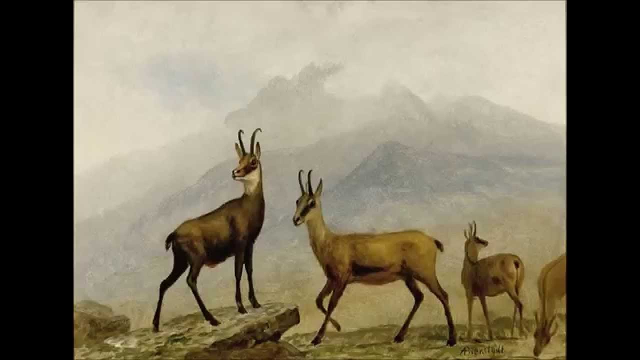 Schubert: Der Alpenjäger, D. 588b. Prégardien, Staier.