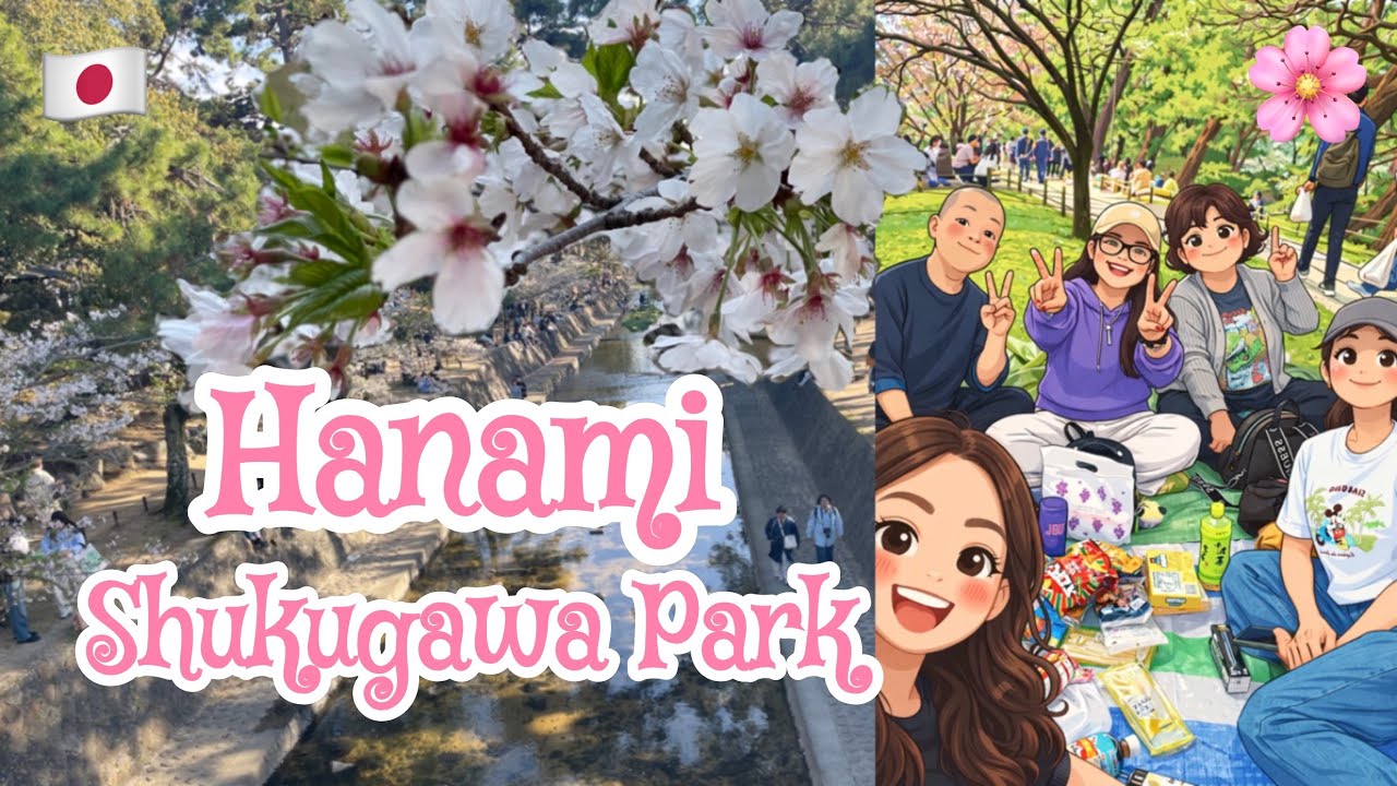 Hanami at Shukugawa Park | Sakura | Cherry Blossom