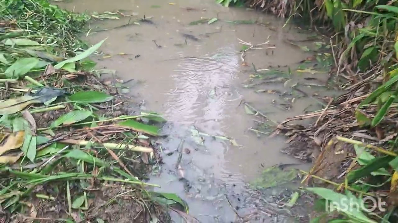 TENTANDO ENCHER O TANQUE 