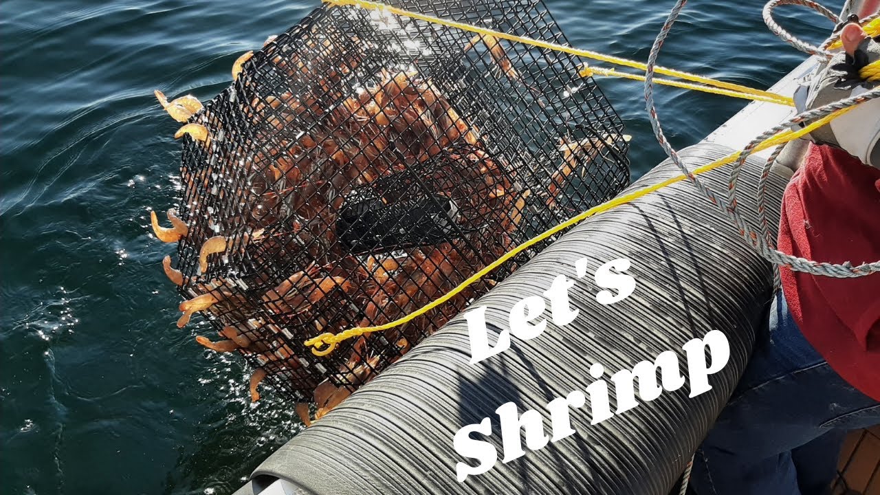 Down at the dock-shrimping 101 with the crew of channel surfing our Ranger Tug R27 OB