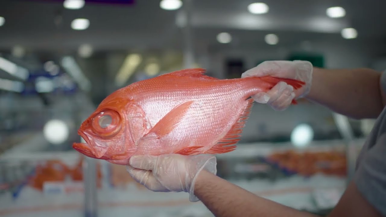 MORE THAN JUST A FISH MARKET