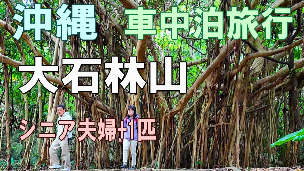沖縄一周車中泊旅行記 4 【大石林山編】シニア夫婦と犬1匹が自作キャンピングシェルで行く