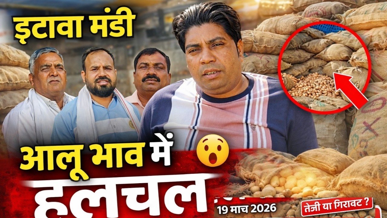 👉 इटावा मंडी आलू भाव में हलचल 😲 | आज का ताजा रेट 19 मार्च 2026 | तेजी या गिरावट?