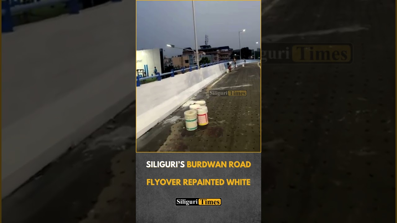 Эстакаду на Бердван-роуд в Силигури перекрасили в белый цвет