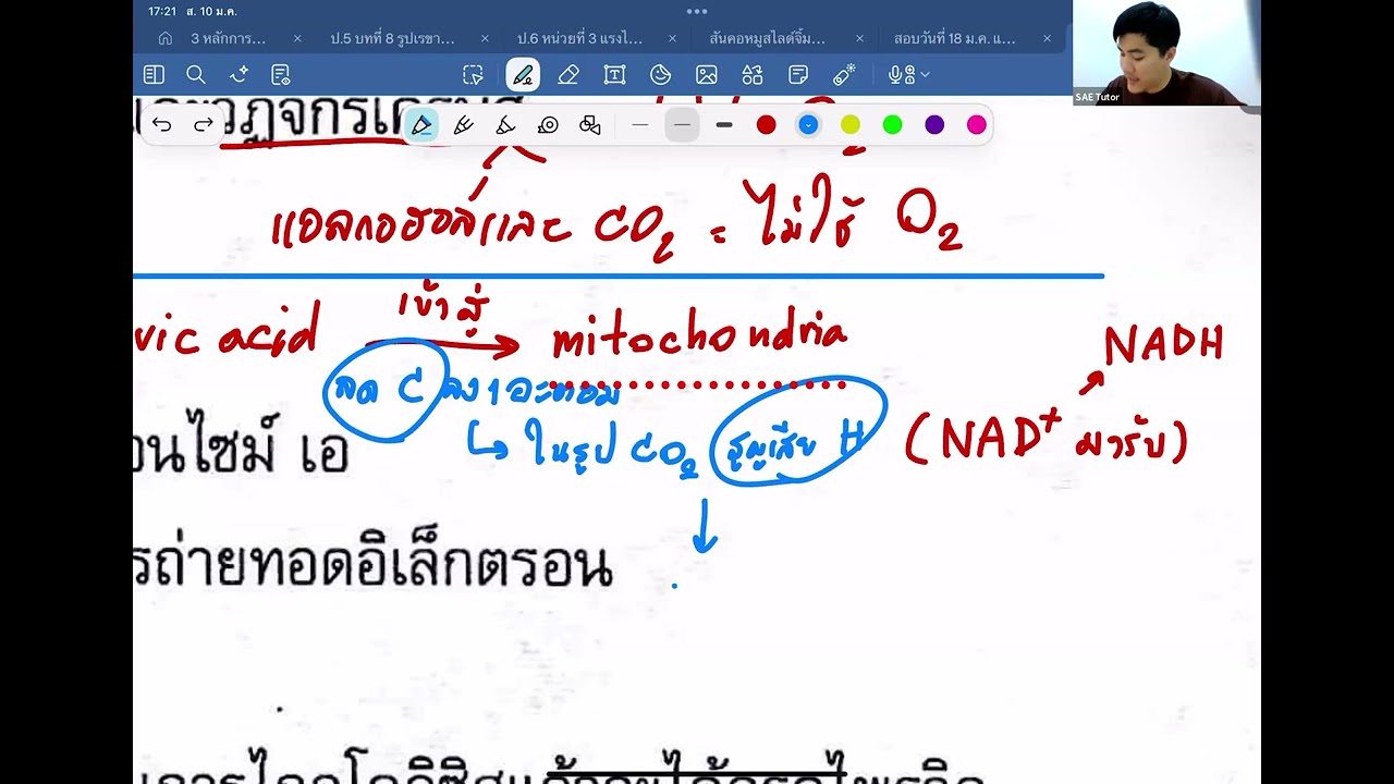 ม.4 ระบบย่อยอาหาร การสลายอาหารระดับเซลล์ และระบบหายใจ (10) (10/1/69)