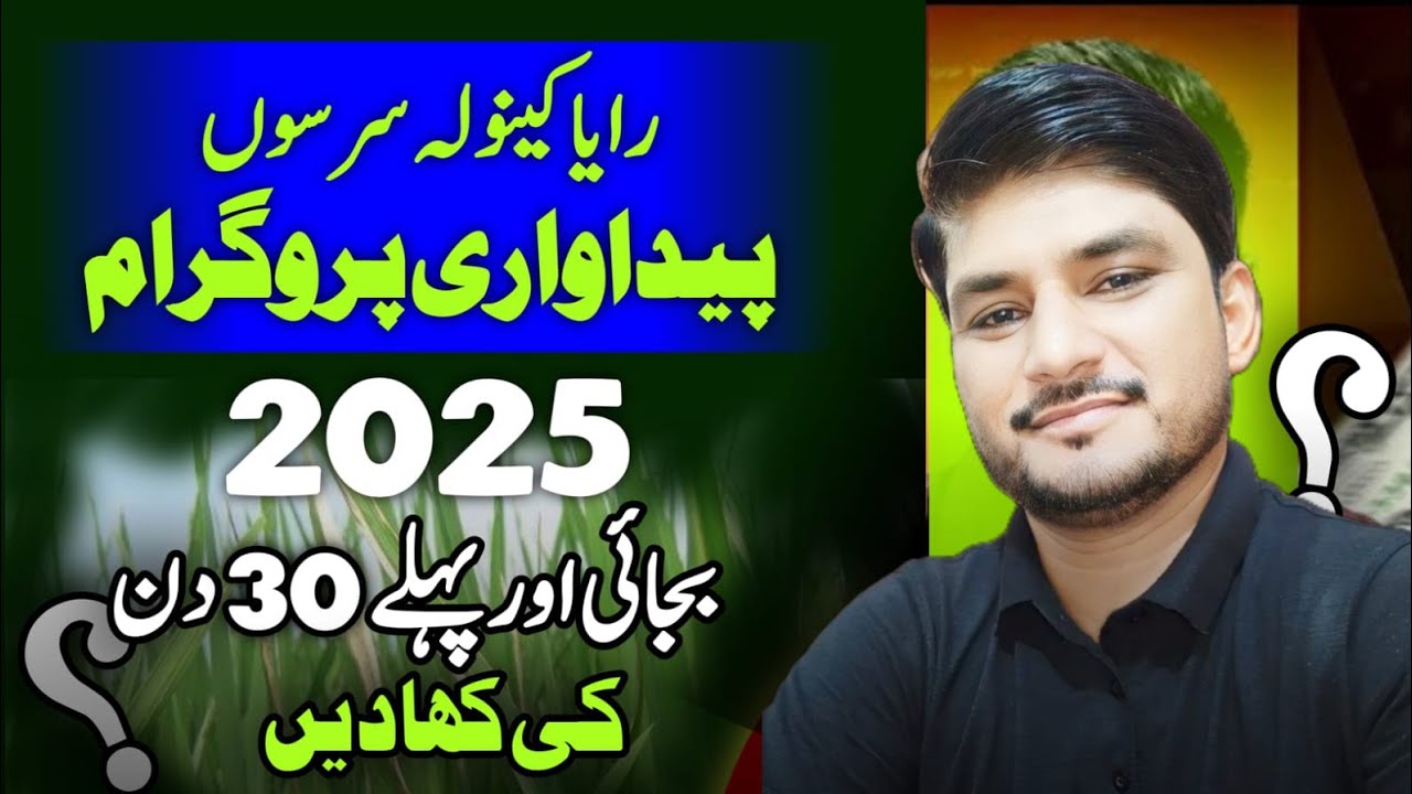 Raya Canola Fertilizer Plan 2025 | Sowing | First Irrigation.