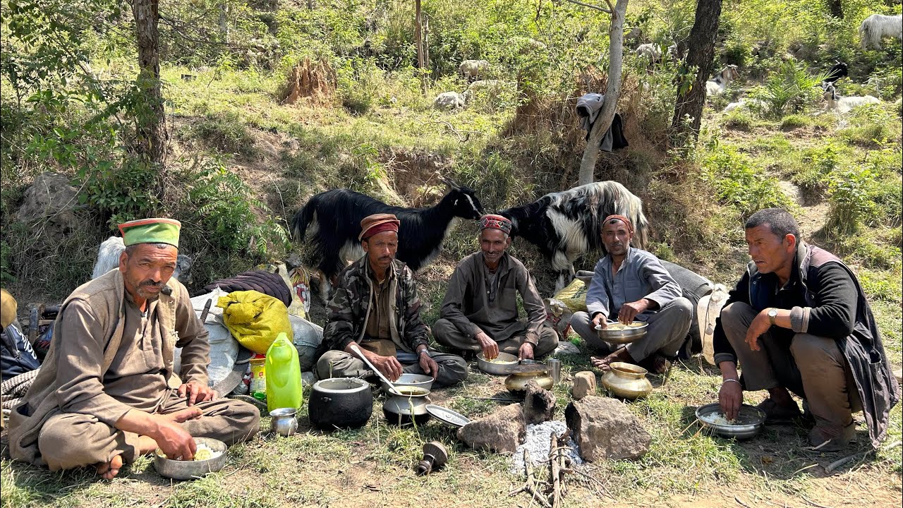 घुमंतू चरवाहों ने जंगल में बनाया दोपहर का स्वादिष्ट खाना साथ में बकरी के कच्चे दूध का सेवन