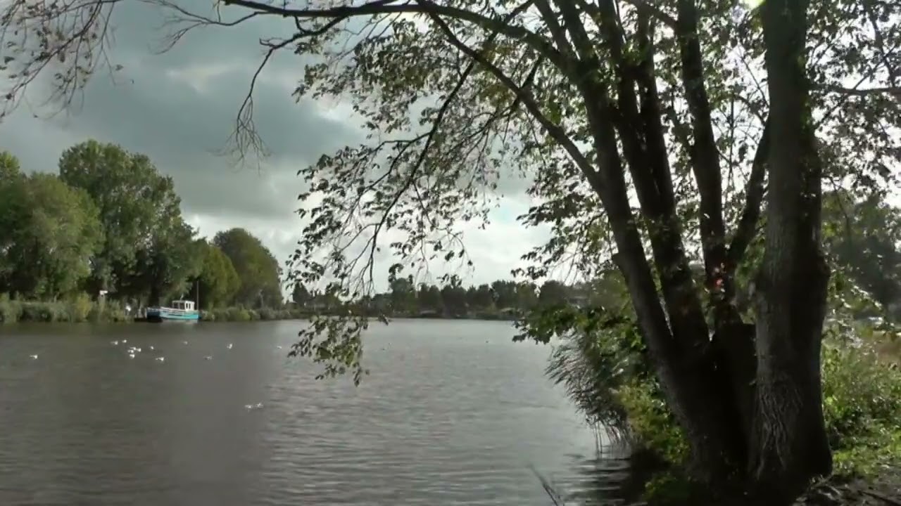 Listen to the River and Ducks to Relieve Tension, Stress, and Anxiety