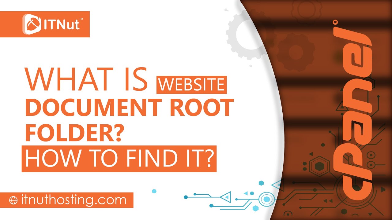 What is Website Document Root Folder? How to Find it?