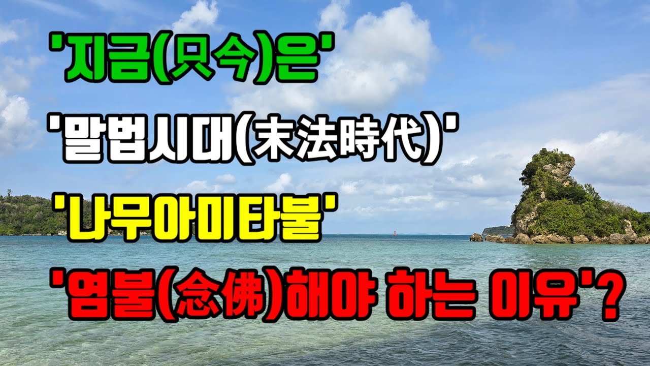 법연상인 선택본원염불집 제5강(아미타 전수염불회 - 260203)